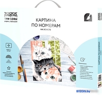 Картина по номерам Три совы Друзья КХ_44172 - фото, картинка Картина по номерам Три совы Друзья КХ_44172 - фото