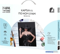 Картина по номерам Три совы Высокая мода КХ_44118 - фото, картинка Картина по номерам Три совы Высокая мода КХ_44118 - фото