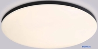 Припотолочная люстра Ambrella Smart Orbital FZ2006 BK (черный) - фото, картинка Припотолочная люстра Ambrella Smart Orbital FZ2006 BK (черный) - фото