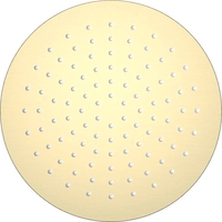 Верхний душ Aquatek AQ2073BG (золото) - фото