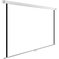 Проекционный экран CACTUS WallExpert 220x138 CS-PSWE-220x138-WT - фото2