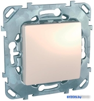 Декоративная заглушка Schneider Electric Unica MGU5.866.25ZD - фото