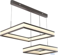 Подвесная люстра Aployt APL.666.03.60 - фото