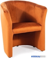 Интерьерное кресло Signal Tm-1 Velvet Bluvel 4215 (корица/венге) - фото, картинка Интерьерное кресло Signal Tm-1 Velvet Bluvel 4215 (корица/венге) - фото