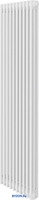 Стальной трубчатый радиатор Royal Thermo Insignia VC3180 - 10 секций RAL9016 - фото