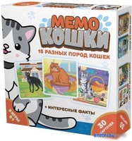 Настольная игра Нескучные игры Мемо. Кошки 834436 - фото