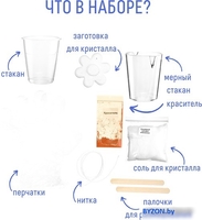 Набор для опытов Bumbaram Фигурный Кристалл Цветок оранжевый A128 - фото2