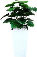 Искусственное растение Forgarden Филодендрон BN11136 - фото