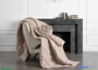 Одеяло Даргез Арно 22430Е (140x205) - фото2