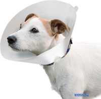 Защитный воротник Ferplast Gro 6004 86004800 - фото2