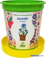 Набор для опытов Happy plant Василек луговой hpn-28 - фото