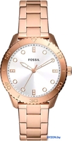 Наручные часы Fossil BQ3886 - фото, картинка Наручные часы Fossil BQ3886 - фото
