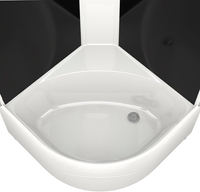 Душевая кабина Domani-Spa Delight Slim 110 High DS01DS110HBT00 - фото2