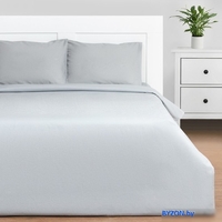 Постельное белье Этель Silver Garden 9241722 - фото