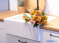 Кухонная мойка Laveo Komodo SBK 610A (белый) - фото2