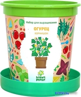 Набор для опытов Happy plant Огурец корнишон hpn-19 - фото