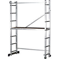 Лестница-помост Stairs LP207 (2x7 ступеней) - фото