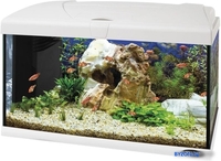 Аквариумный набор Ferplast Capri 50 Led 60 л (белый) - фото, картинка Аквариумный набор Ferplast Capri 50 Led 60 л (белый) - фото