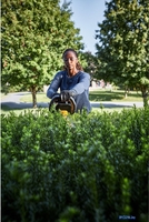 Кусторез DeWalt DCMHT573X1 (с 1-им АКБ) - фото2, картинка2 Кусторез DeWalt DCMHT573X1 (с 1-им АКБ) - фото2