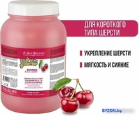 Шампунь Iv San Bernard Fruit Of The Groomer Black Cherry Shampoo (3.25 л) - фото2