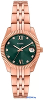 Наручные часы Fossil ES5369 - фото, картинка Наручные часы Fossil ES5369 - фото