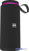 Беспроводная колонка Soundmax SM-PS5015B (черный) - фото2