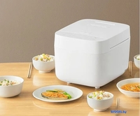 Мультиварка Xiaomi Mijia Rice Cooker C1 3L MDFBZ02ACM (с переходником на евровилку) - фото2