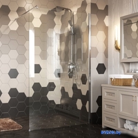 Душевая стенка Wasserkraft Rossel 28W39 - фото