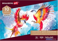 Альбом для рисования BRAUBERG Art 105911 (10 л) - фото