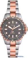 Наручные часы Fossil ES5348 - фото, картинка Наручные часы Fossil ES5348 - фото