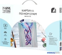 Картина по номерам Три совы Единение КХ_44113 - фото, картинка Картина по номерам Три совы Единение КХ_44113 - фото