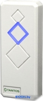 Считыватель бесконтактных карт Tantos TS-RDR-E (белый) - фото