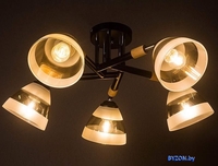 Подвесная люстра Aitin Pro НПБ 02-5х60-101 C1315/5 (черный) - фото2