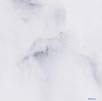 Мыльница Lauter 21BCO50-1D - фото2