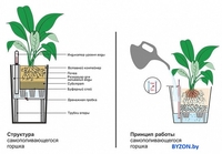 Вазон Forgarden BF00383 (салатовый глянцевый) - фото2