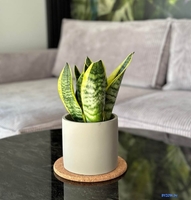 Кашпо Polnix 05.148.14 - фото2, картинка2 Кашпо Polnix 05.148.14 - фото2