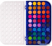 Акварельные краски BRAUBERG Premium 191747 (48 цв) - фото2