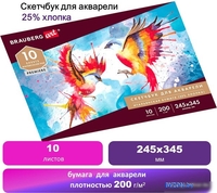Альбом для рисования BRAUBERG Art 105911 (10 л) - фото2