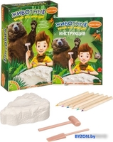 Набор для опытов Bondibon Науки с Буки Животные: Узнай, кто внутри ВВ4119 - фото2