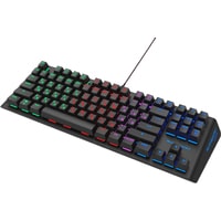 Клавиатура Ritmix RKB-500 Anthagonist - фото2