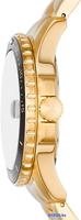 Наручные часы Fossil FS6035 - фото2, картинка2 Наручные часы Fossil FS6035 - фото2
