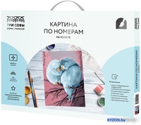 Картина по номерам Три совы Милая пара КХ_44141 - фото, картинка Картина по номерам Три совы Милая пара КХ_44141 - фото