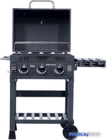 Газовый гриль для дачи Activa Angular Gaz 3.0 11248 - фото2