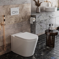 Унитаз приставной Roxen Antares 650185-01 Rimless Soft Close - фото