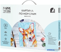 Картина по номерам Три совы Корги КХ_44101 - фото, картинка Картина по номерам Три совы Корги КХ_44101 - фото