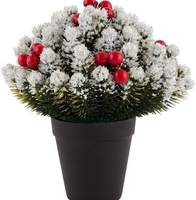 Композиция Волшебная страна Елка заснеженная в горшке 007636 - фото