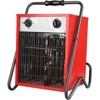 Тепловая пушка Oasis TP-30S - фото