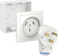 Розетка промышленная Schneider Electric BLNSK003231 - фото