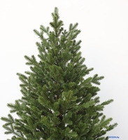 Ель GrandSiti Салерно 2.4 м 101-435 - фото2