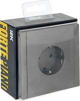 Розетка IEK Forte&Piano FP-R11-16-K46 - фото2